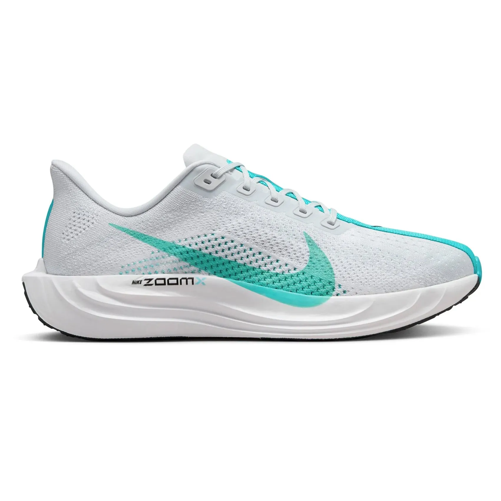 Mens Nike Pegasus Plus