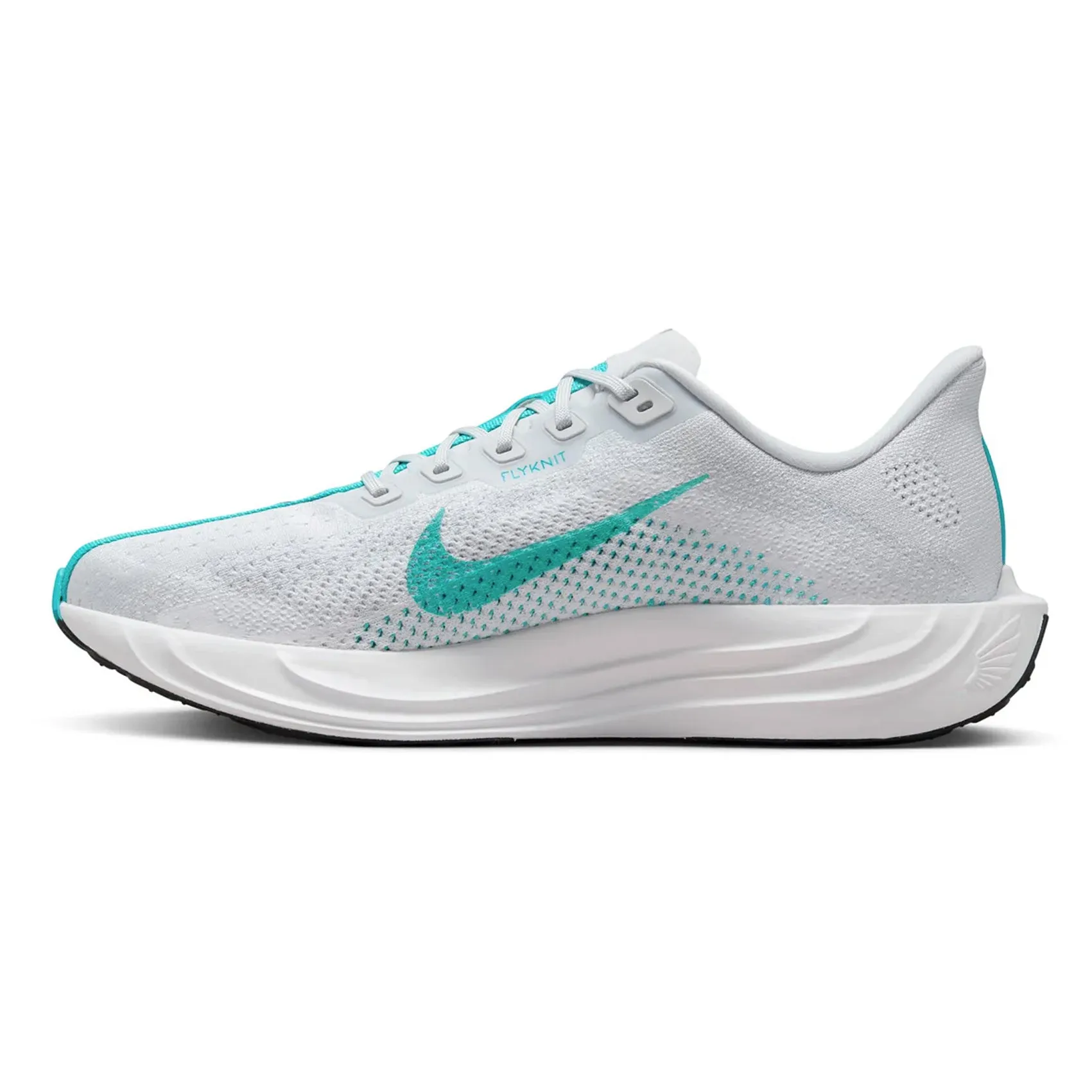 Mens Nike Pegasus Plus