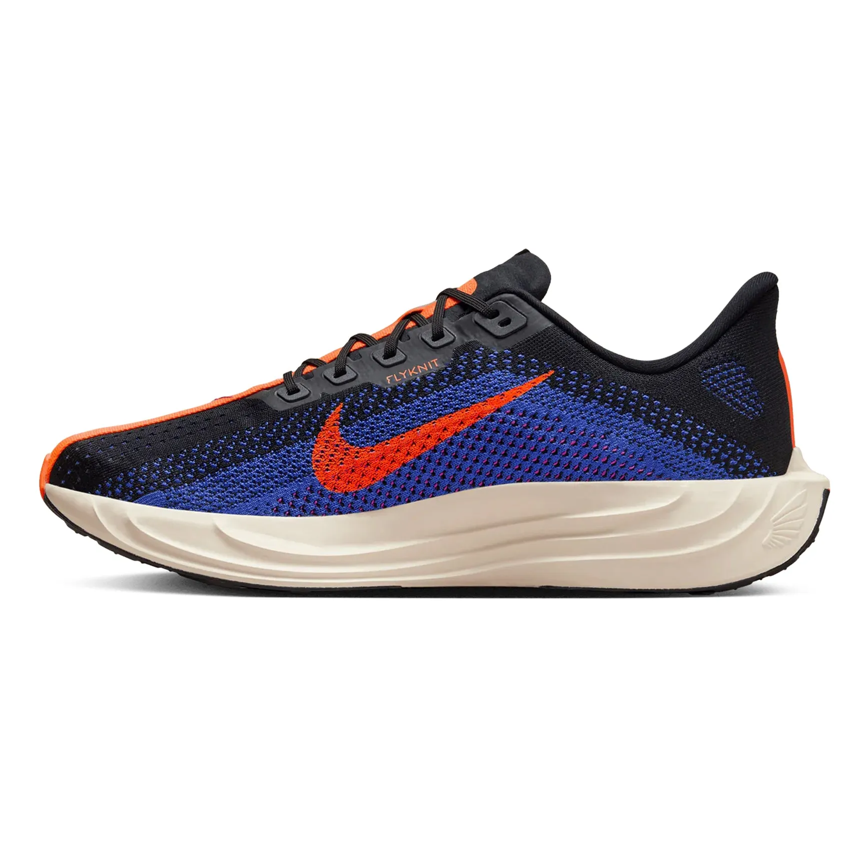 Mens Nike Pegasus Plus